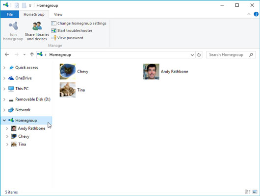 530x400 How To Access Other On A Homegroup Network In Windows