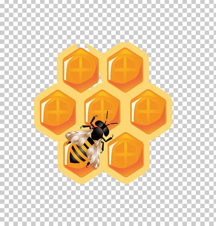 728x763 Honey Bee Honeycomb Icon Png, Clipart, Bee, Bee Hive, Beehive