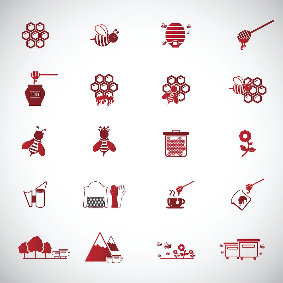 900x900 Bee And Honey Icon Set Beekeeping, Apiculture Icons Drawing