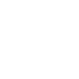 256x256 White Cooker Hood Icon