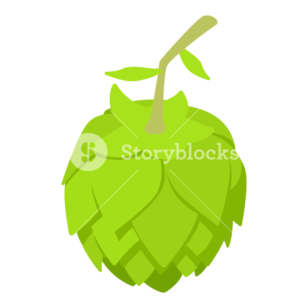 1000x1000 Beer Hop Icon Isometric Of Beer Hop Vector Icon For Web Design
