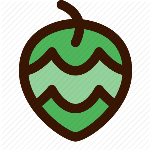 512x512 Alcohol, Ale, Beer, Drink, Hop Icon