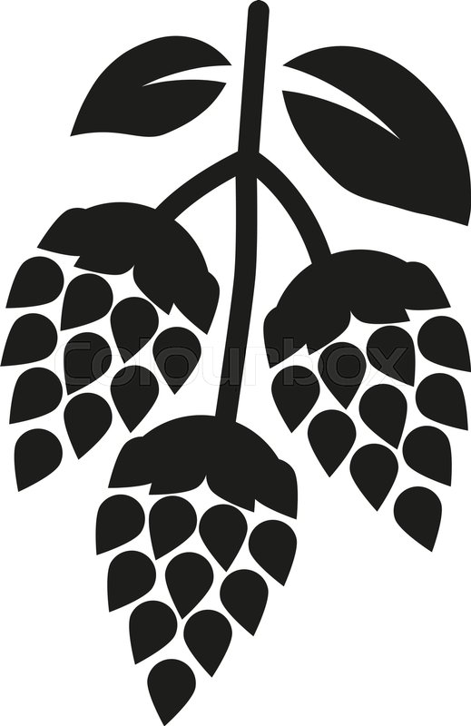 519x800 Hops Icon Beer And Hop Symbol Ui Stock Vector Colourbox