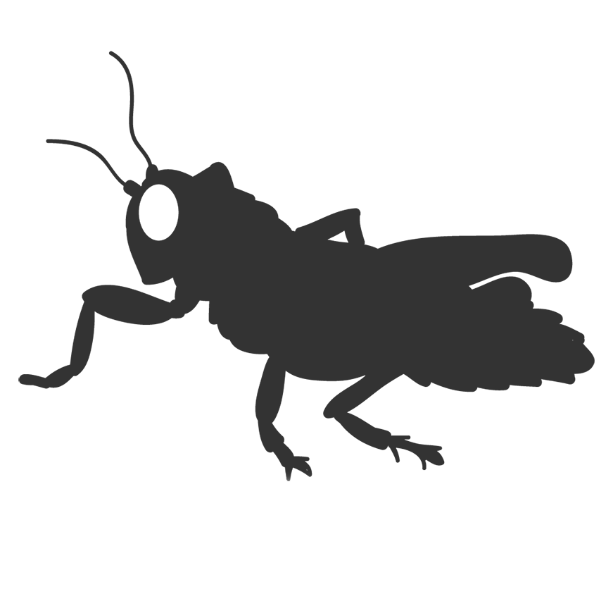 871x870 Terrestrial Hopper Icon