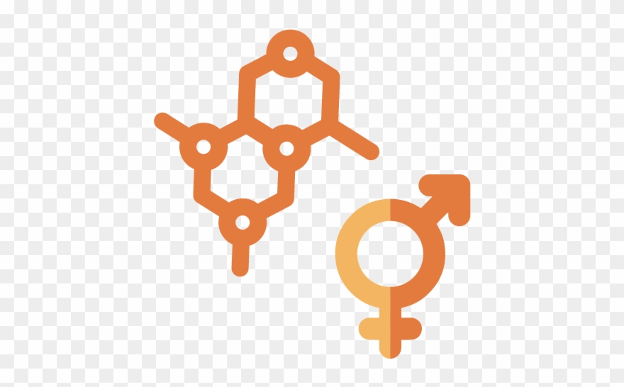 880x546 Hormone Therapy Icon Clipart