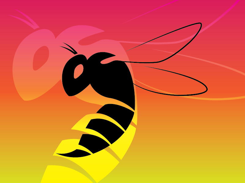 800x600 Hornet Icon