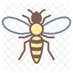 256x256 Hornet Icon Of Colored Outline Style