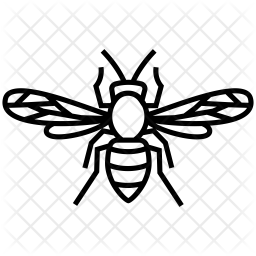 256x256 Hornet Icon Of Line Style