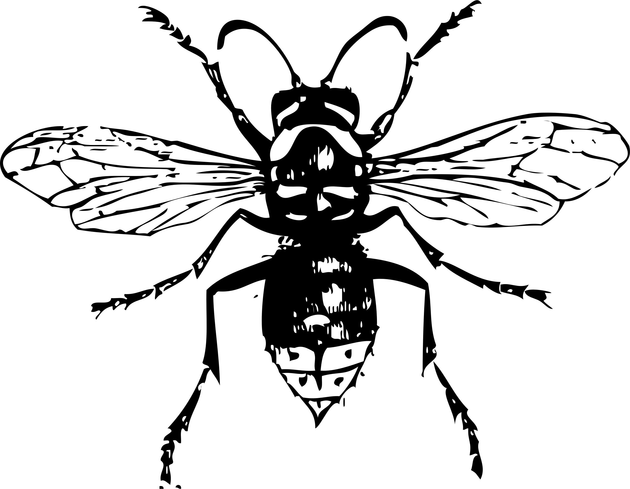 2400x1862 Bald Faced Hornet Icons Png