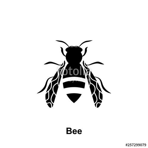 500x500 Wasp Icon Element Of Beekeeping Icon Premium Quality Graphic
