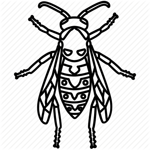 512x512 Bite, Bug, Hornet, Insect, Pest, Wasp, Yellow Jacket Icon