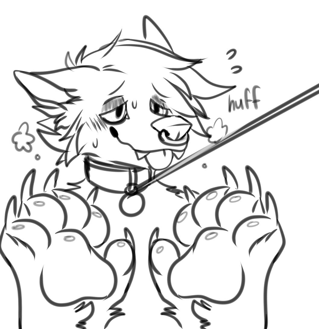 1058x1094 Sketch A Twitter Why Does Every Horny Dog Furry's Icon Look Like