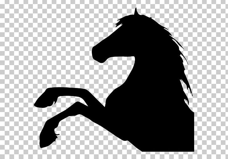 728x508 Horse Head Mask Png, Clipart, Animals, Black, Black And White