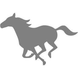 256x256 Gray Horse Icon