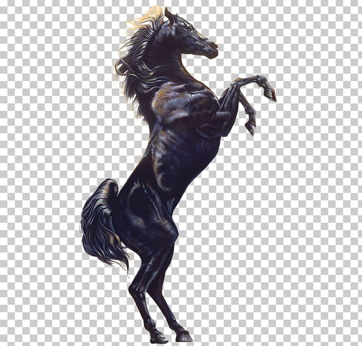 728x696 Horse Icon Png, Clipart, Animal, Animals, Animation, Cartoon