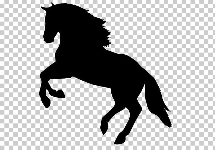 728x508 Horse Icon Png, Clipart, Black, Black And White, Colt