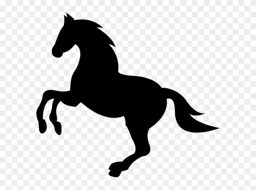880x654 Wild Black Horse Lifting Front Foot Free Vector Icon