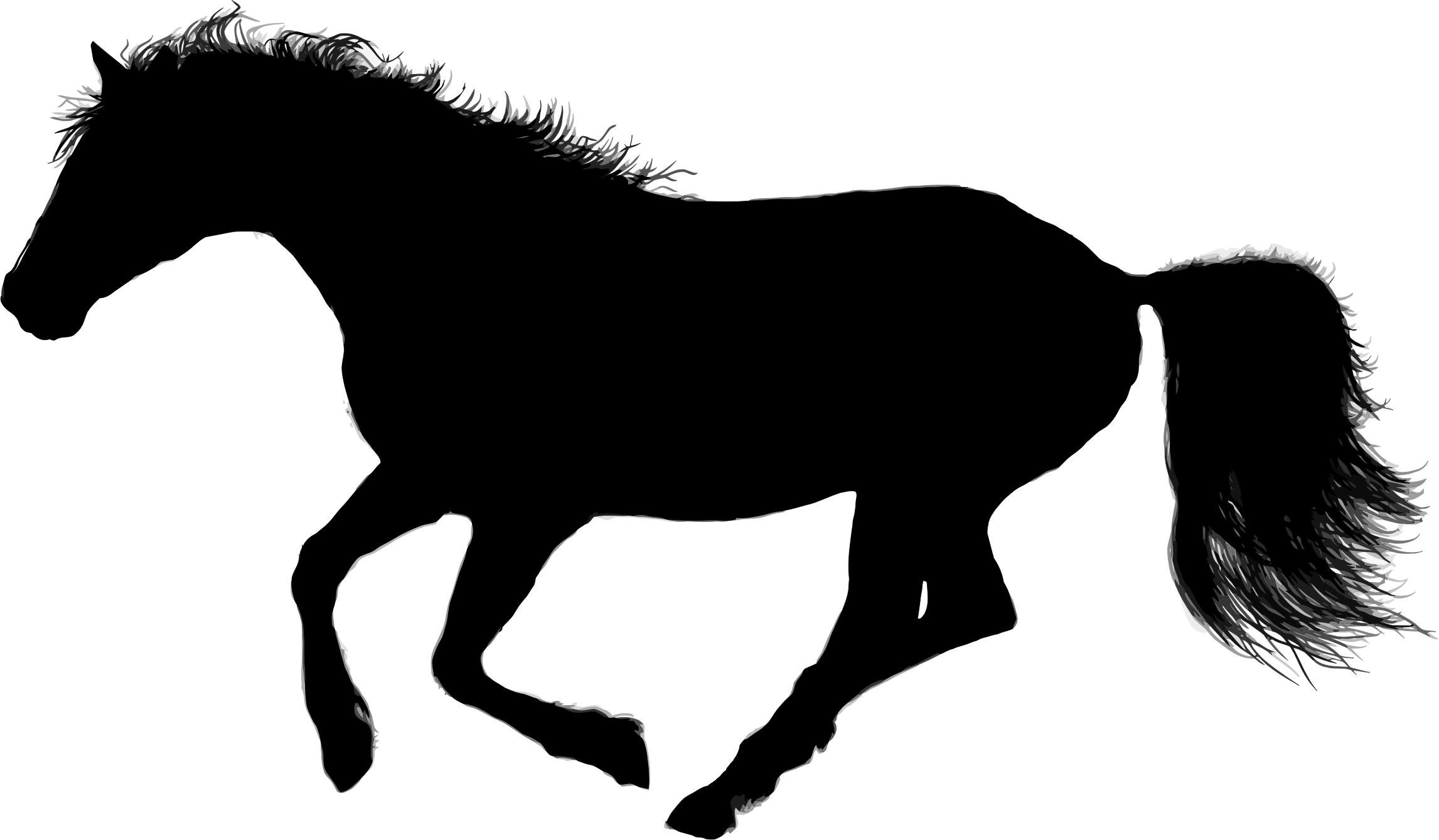2293x1339 Wild Galloping Horse Icons Png