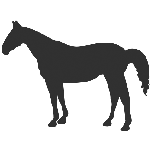 500x500 Download Horse Icon