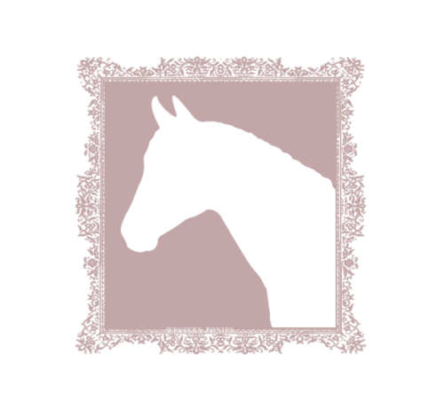 Pack Horses Tumblr 500x452 Pack Horses Tumblr
