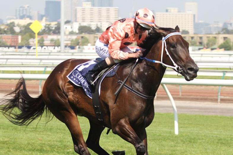 Thursday Wrap Death Of A Racing Icon, Black Caviar's Son Breaks 786x524 Thursday Wrap Death Of A Racing Icon, Black Caviar's Son Breaks