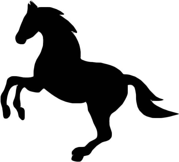 608x549 Hd Horseback Riding