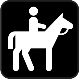 256x256 Horseback Riding Icon