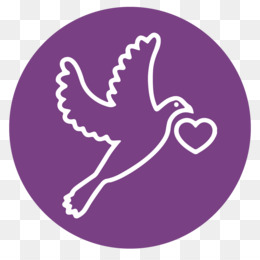 260x260 Album Book Covers Bookbinding Canvas Text