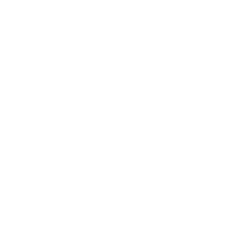 256x256 White Hot Dog Icon