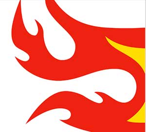 300x273 Icomania Image