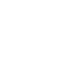 256x256 White Hotel Icon