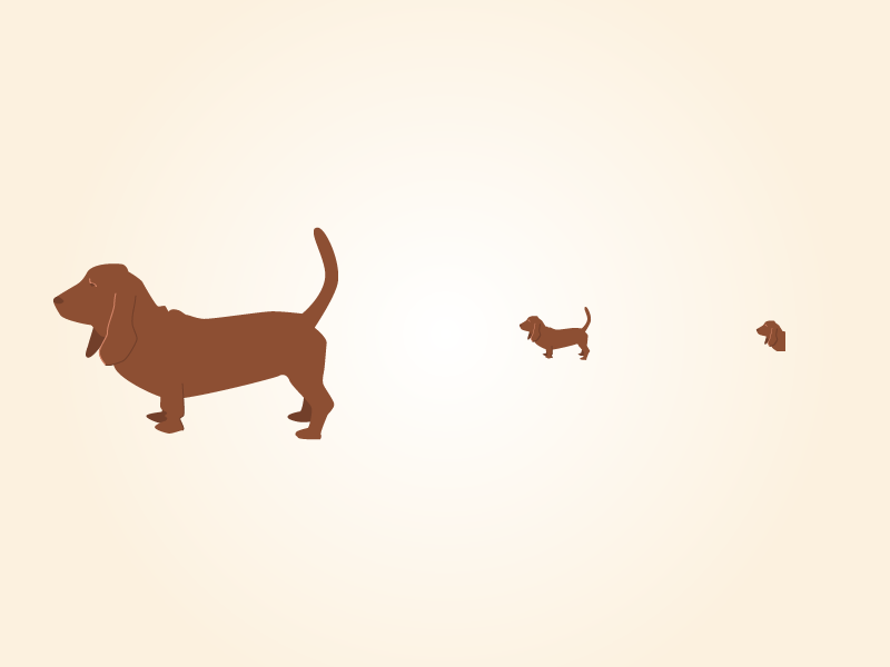 800x600 Basset Hound Icons
