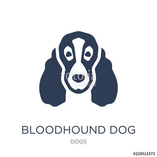500x500 Bloodhound Dog Icon Trendy Flat Vector Bloodhound Dog Icon