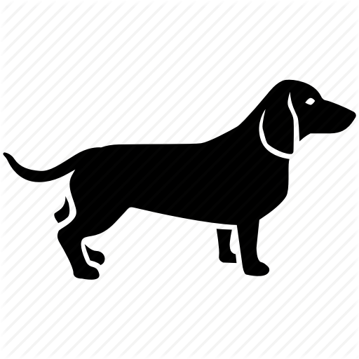 512x512 Dachshund, Dash, Dashound, Dog, Hound, Sausage, Wiener Icon