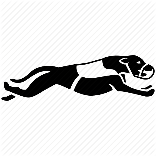 512x512 Dog, English, Grayhound, Greyhound, Hound, Races, Racing Icon