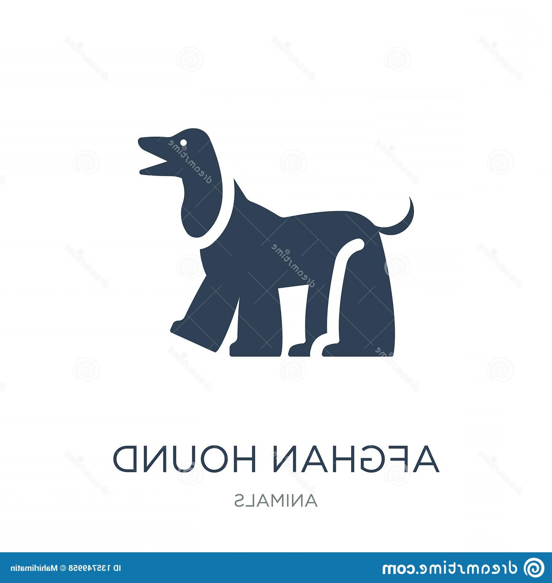 1920x2026 Hound Vector Lamaison