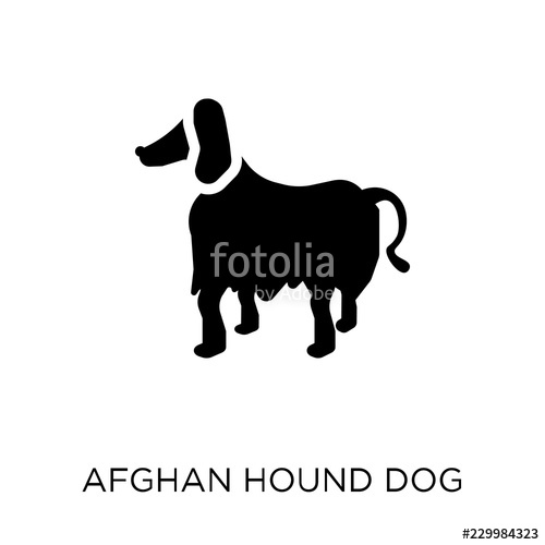 500x500 Afghan Hound Dog Icon Afghan Hound Dog Symbol Design From Dogs