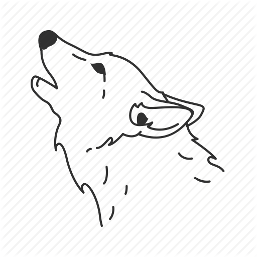 512x512 Coyote, Gray Wolf, Grey Wolf, Howl, Howling, Medium Land Mammal