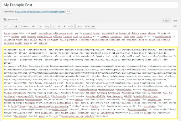 630x422 Adding Embedding Instagram Content On Wordpress Wp