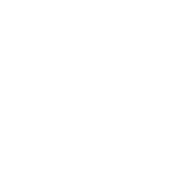 256x256 White Html Icon