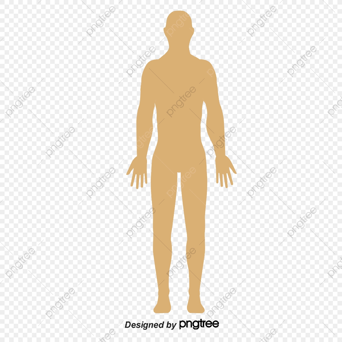 1200x1200 Human Body Icon Annotation Vector Material, Human Vector, Body