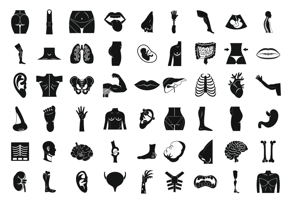 1000x696 Human Body Icon Set Simple Set Of Human Body Vector Icons For Web
