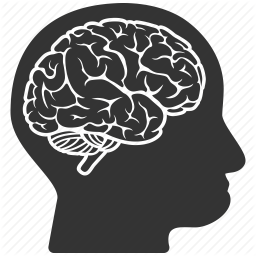 Human Brain Icon At Collection Of Human Brain Icon Free For Personal Use 8189