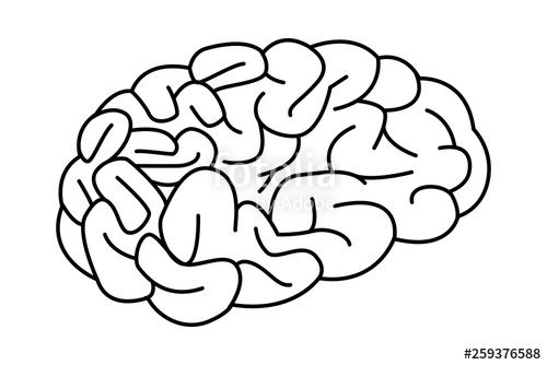 500x334 Human Bran Black And White Stock Image And Royalty Free