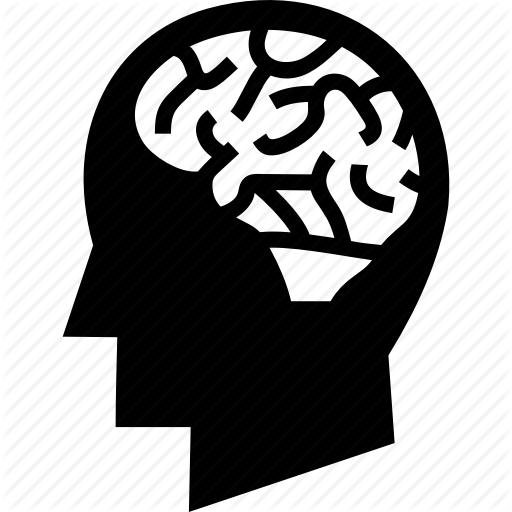 512x512 Brain, Brain Anatomy, Head Brain, Human Bran