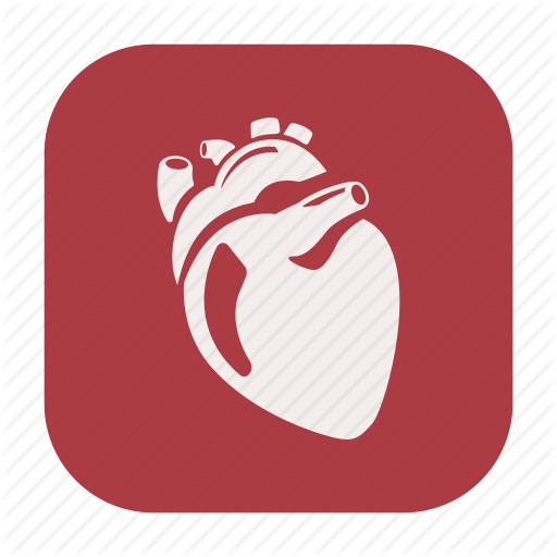 512x512 Endurance, Exercise, Fitness, Healthcare, Heart, Human Heart