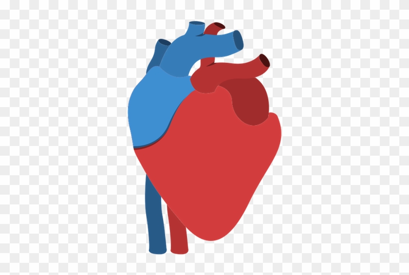 840x565 Human Heart Anatomy Isolated Icon Design