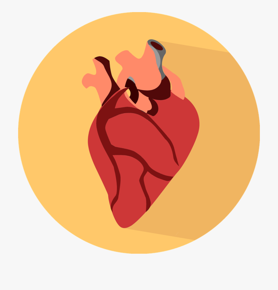 920x959 Human Heart Icon Png
