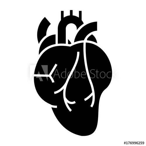 500x500 Human Heart Icon, Illustration, Vector Sign On Isolated Background