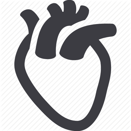 512x512 Anatomy, Cardiology, Cardiovascular, Human Heart Icon